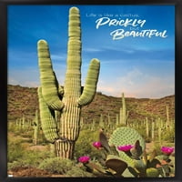 Kaktusz-Gyönyörű Fali Poszter, 22.375 34