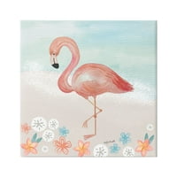 Stupell Industries Flamingo állandó partvonal Különböző homokdollárok Botanikumok festménygaléria csomagolt vászon nyomtatott