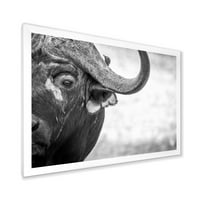Designart 'Buffalo III fekete -fehér portréja' Farmhouse keretes művészeti nyomtatás