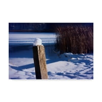 Védjegy képzőművészet 'hófödte kerítésoszlop a tó mentén' vászon művészet Anthony Paladino