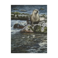 Védjegy Képzőművészet 'Riverside Pause River Otter' vászon művészete, Ron Parker