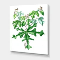 A vadon élő növények ősi rajza festmény vászon művészeti nyomtatás