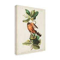 John James Audubon 'Mangrove Cuckoo' vászonművészet