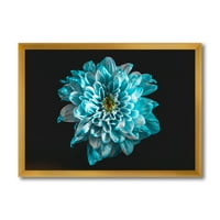 DesignArTART 'Virág közelképe fehér és kék szirmokkal hagyományos keretes művészeti nyomtatás