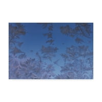 Kurt Shaffer Photoss Vatemark képzőművészet „jégkristályok a kék ég ellen” vászon művészete