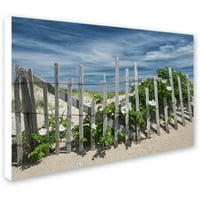 Védjegy Szépművészet White Beach Roses Canvas Art készítette Michael Blanchette Photography