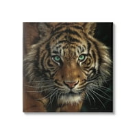 Stupell Industries heves vad tigris göndörő zöld szemek részletes portréfestmények galéria csomagolt vászon nyomtatott fali művészet,